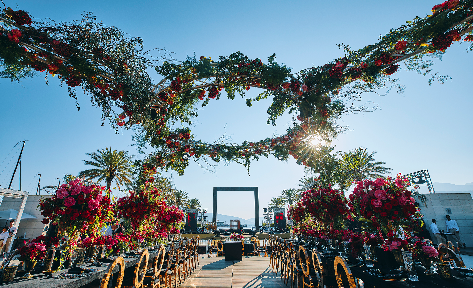 Sunlight shining through hanging white flowers and green leaves in an outdoor setting.