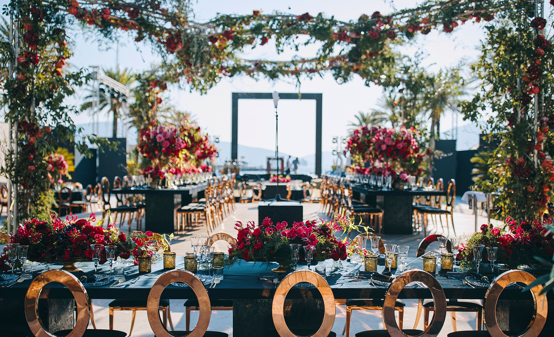 Sunlight shining through hanging white flowers and green leaves in an outdoor setting.