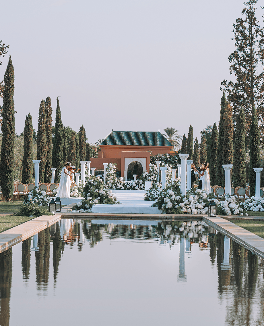 Sunlight shining through hanging white flowers and green leaves in an outdoor setting.