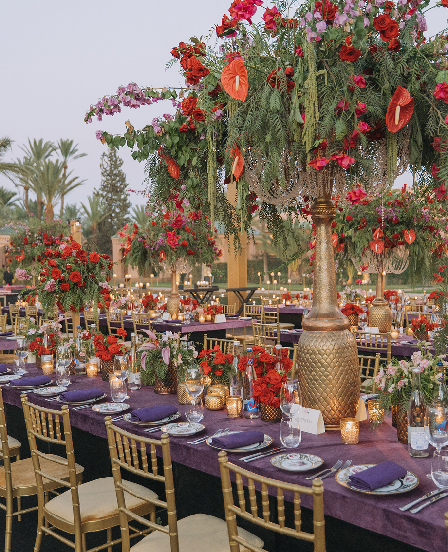 Sunlight shining through hanging white flowers and green leaves in an outdoor setting.