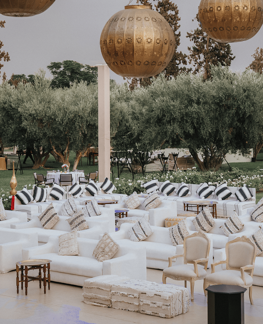 Sunlight shining through hanging white flowers and green leaves in an outdoor setting.
