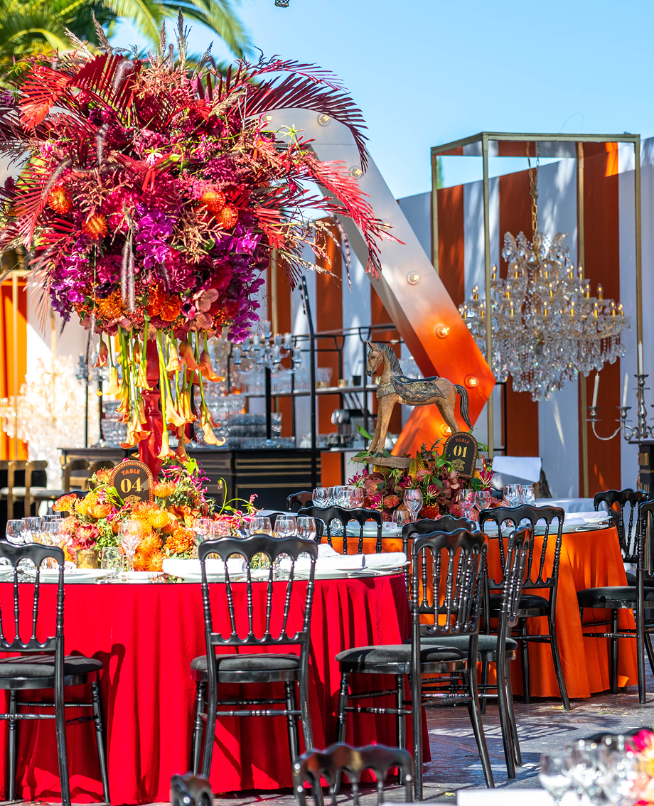Sunlight shining through hanging white flowers and green leaves in an outdoor setting.