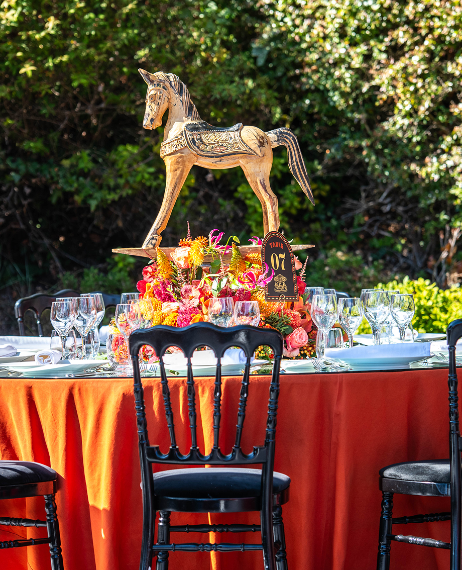 Sunlight shining through hanging white flowers and green leaves in an outdoor setting.