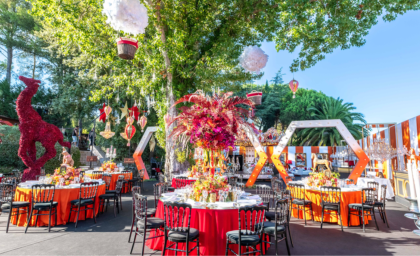 Sunlight shining through hanging white flowers and green leaves in an outdoor setting.