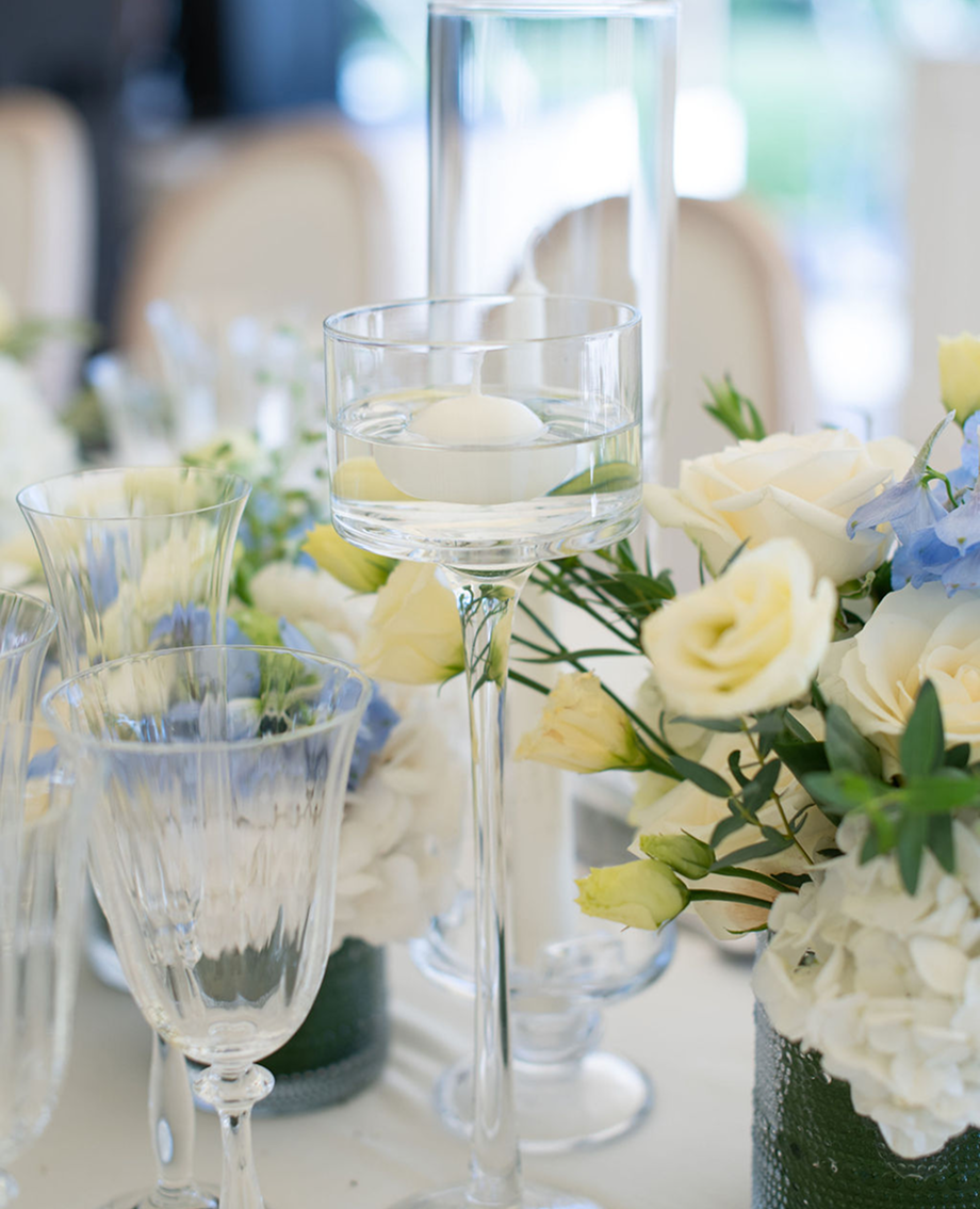 Sunlight shining through hanging white flowers and green leaves in an outdoor setting.