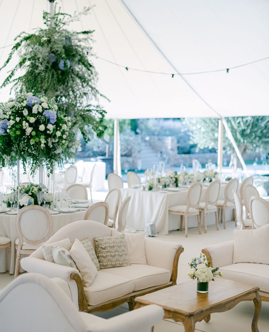 Sunlight shining through hanging white flowers and green leaves in an outdoor setting.