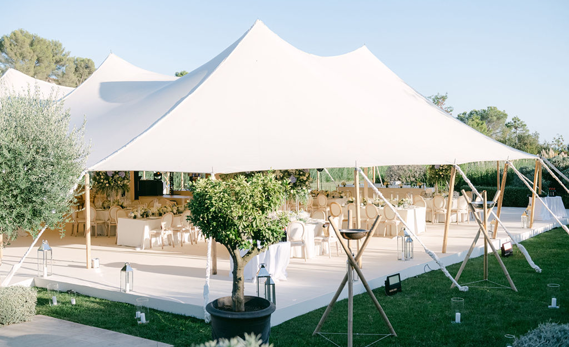 Sunlight shining through hanging white flowers and green leaves in an outdoor setting.