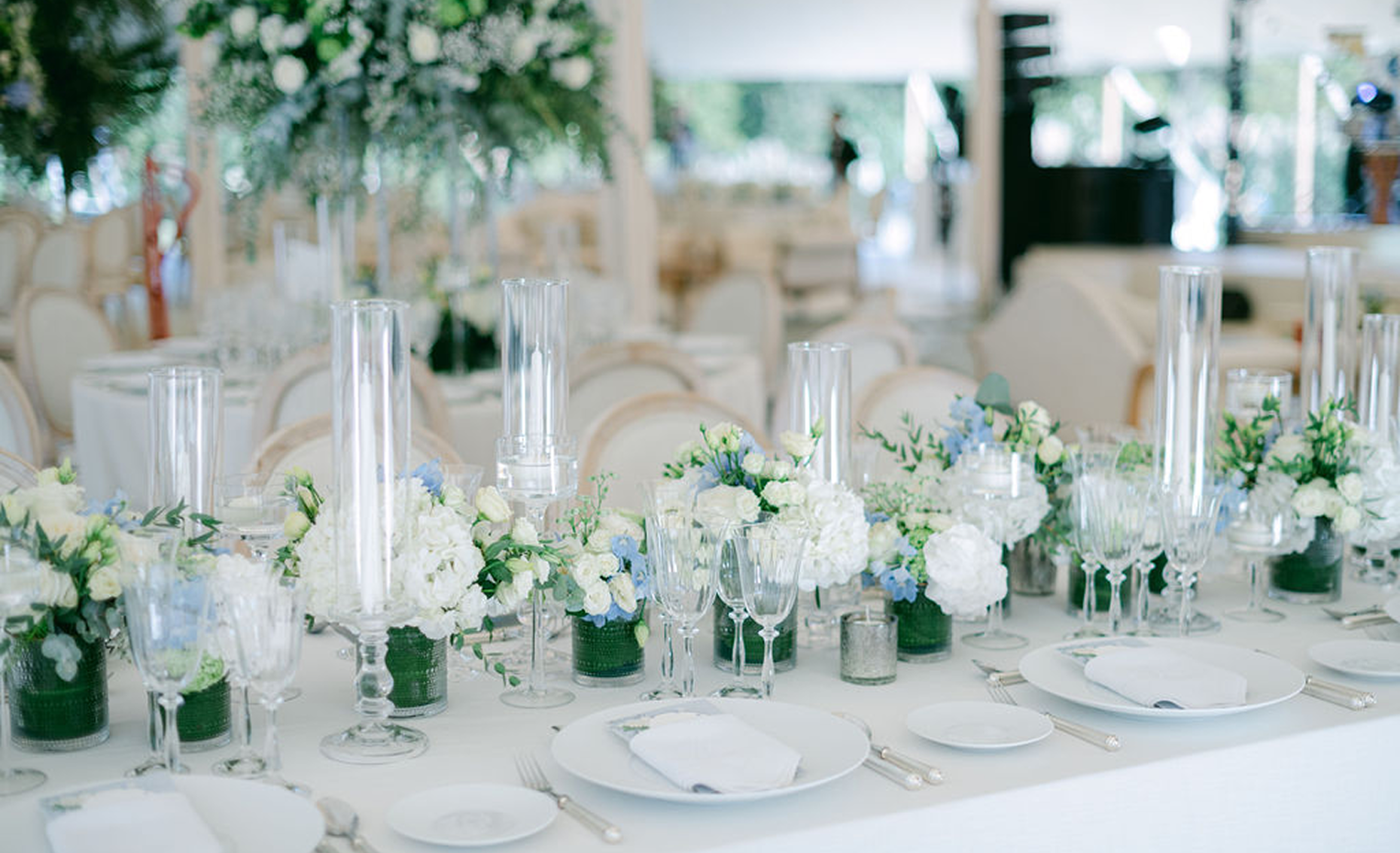 Sunlight shining through hanging white flowers and green leaves in an outdoor setting.