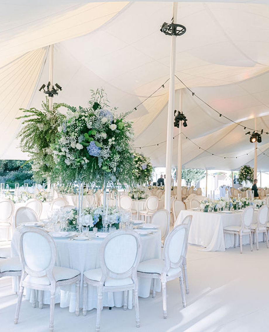 Sunlight shining through hanging white flowers and green leaves in an outdoor setting.