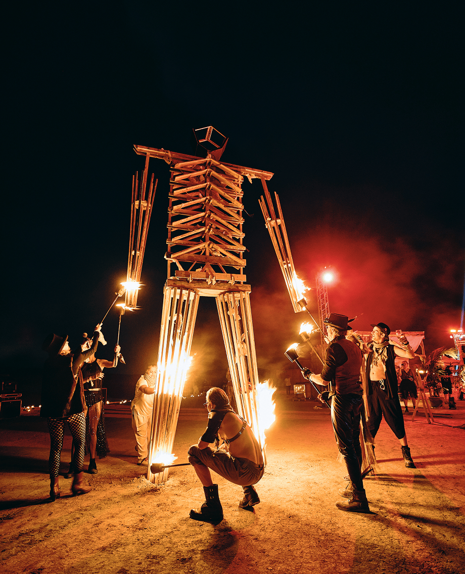 Sunlight shining through hanging white flowers and green leaves in an outdoor setting.