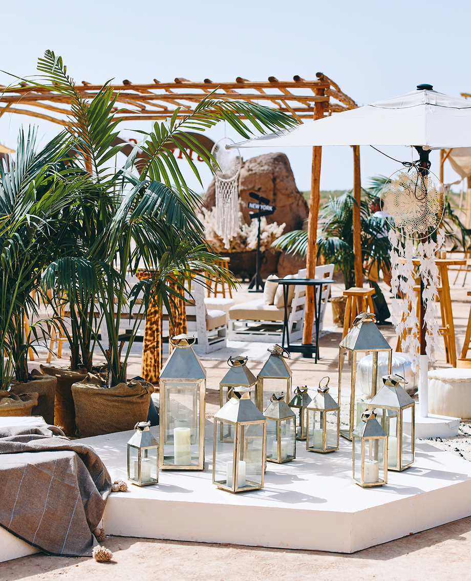 Sunlight shining through hanging white flowers and green leaves in an outdoor setting.