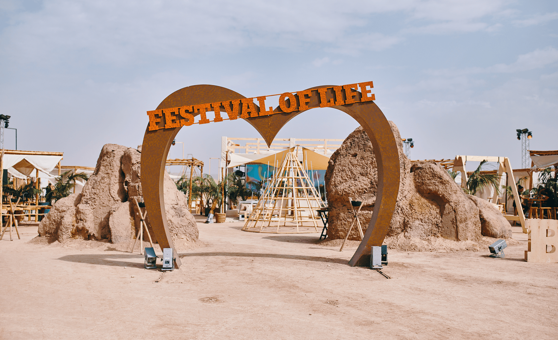 Sunlight shining through hanging white flowers and green leaves in an outdoor setting.