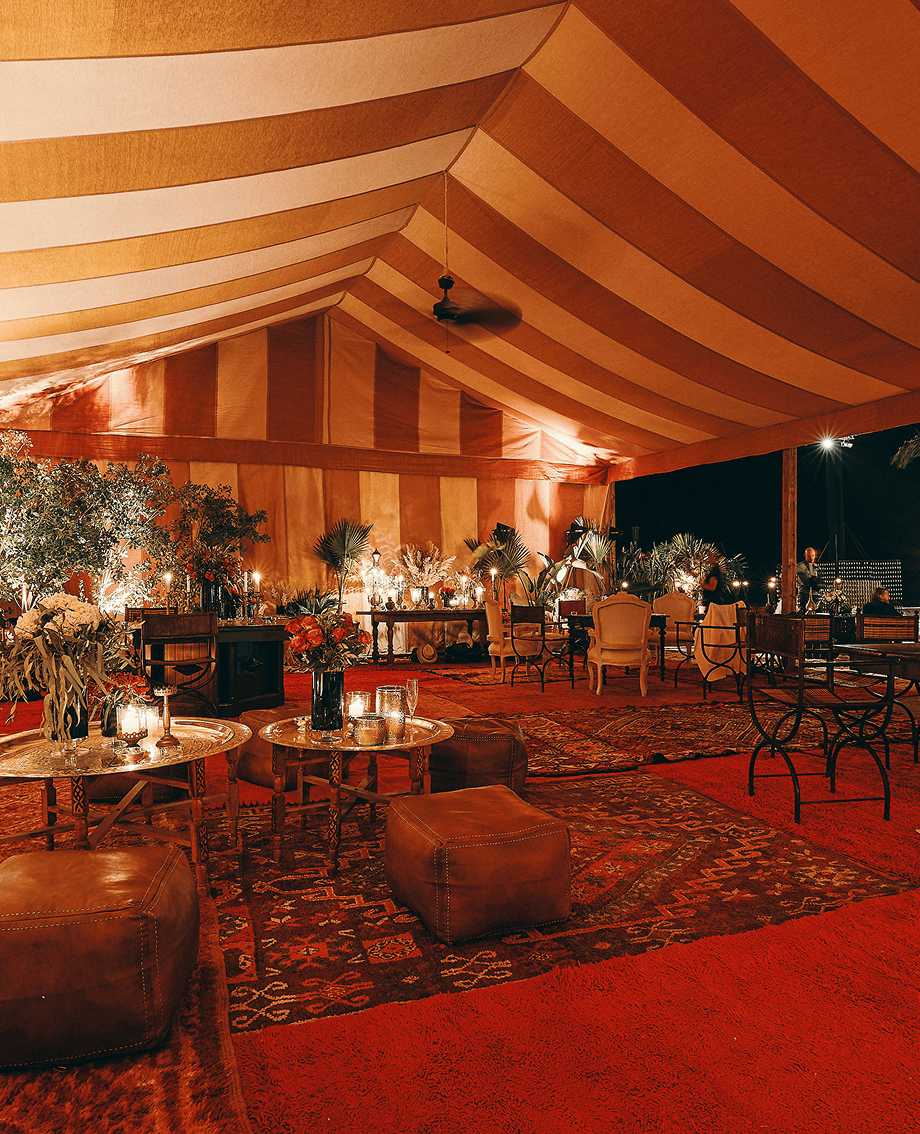 Sunlight shining through hanging white flowers and green leaves in an outdoor setting.