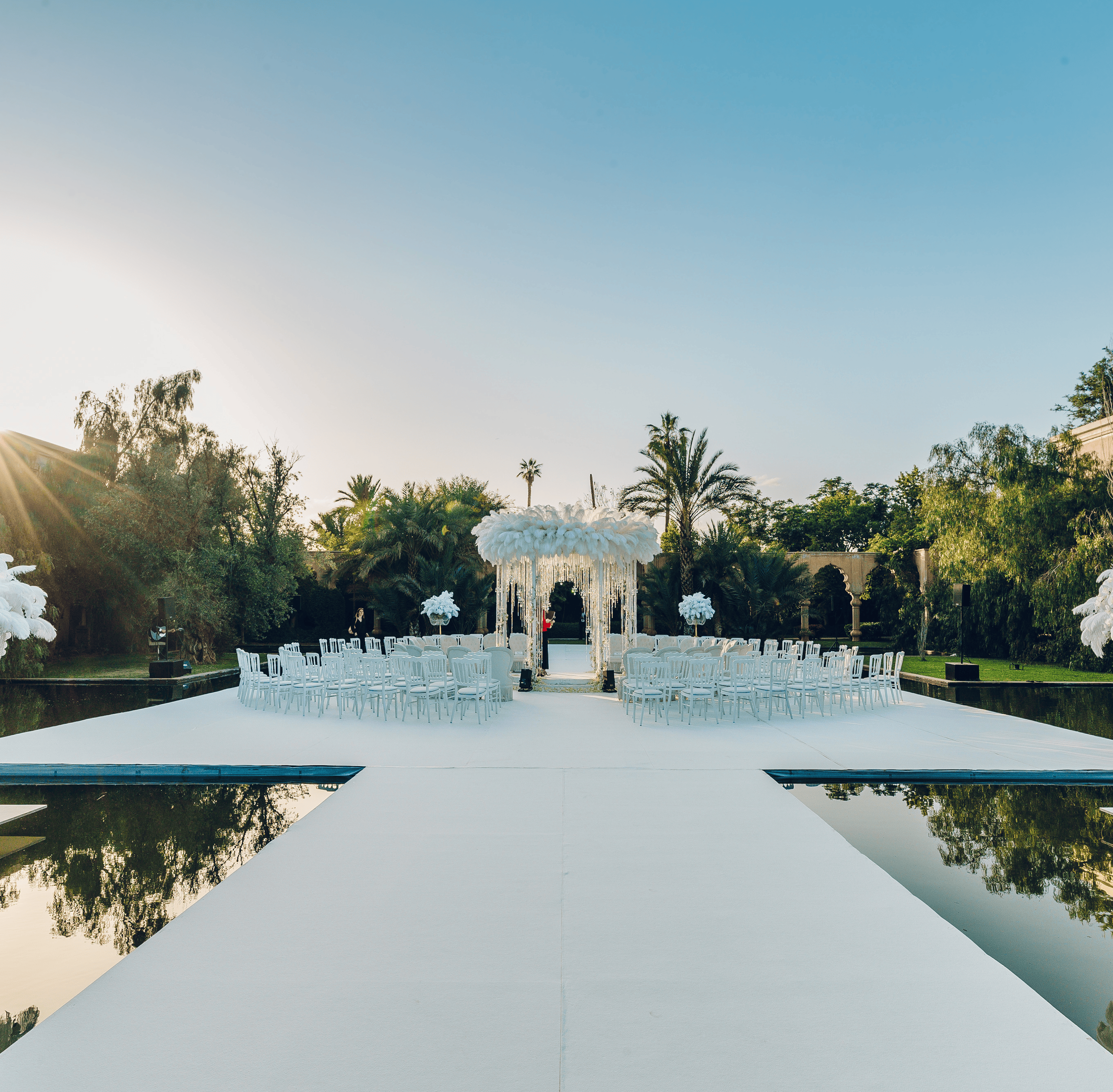 Sunlight shining through hanging white flowers and green leaves in an outdoor setting.