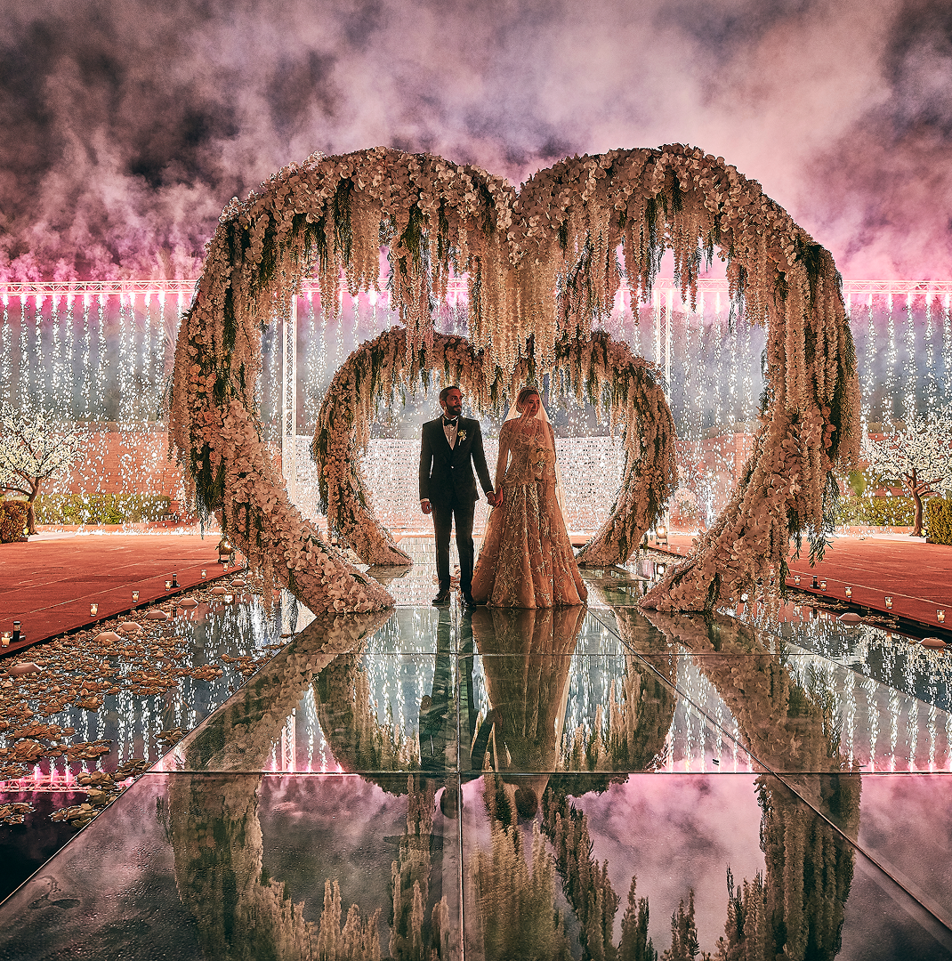 Sunlight shining through hanging white flowers and green leaves in an outdoor setting.