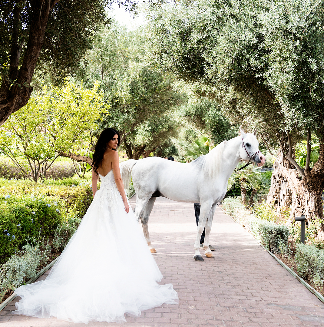 Sunlight shining through hanging white flowers and green leaves in an outdoor setting.