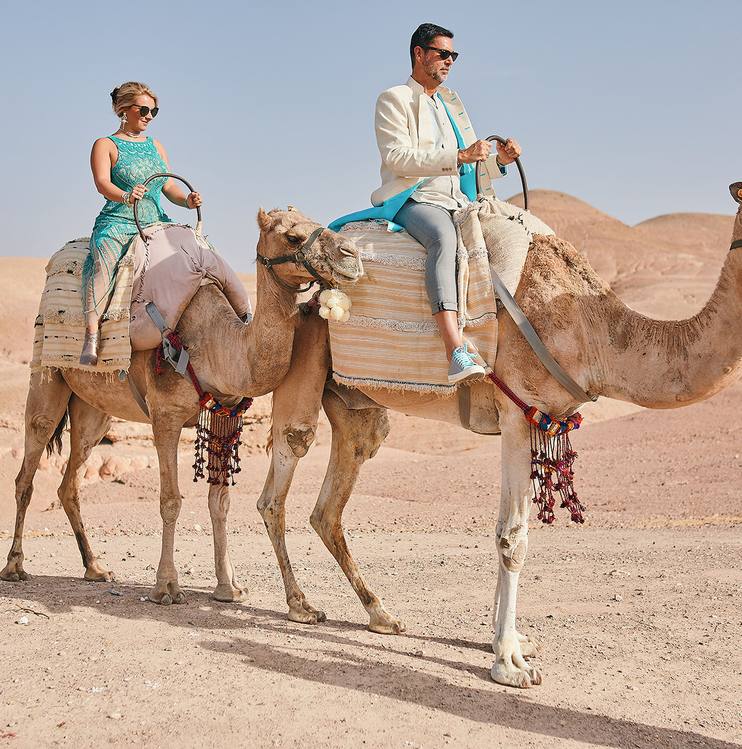 Sunlight shining through hanging white flowers and green leaves in an outdoor setting.