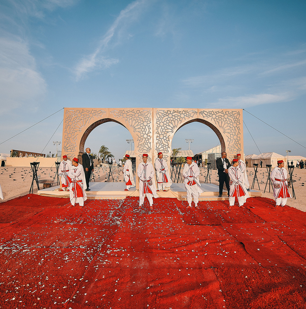 Sunlight shining through hanging white flowers and green leaves in an outdoor setting.