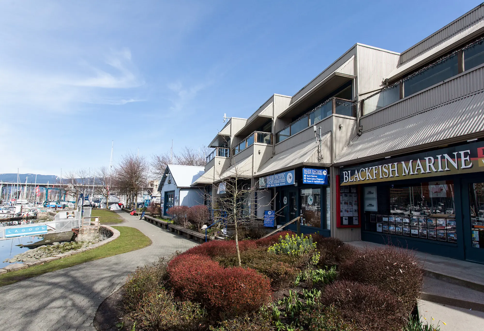 Marina storefronts with yacht rentals, pathway, and harbor view under a clear sky.