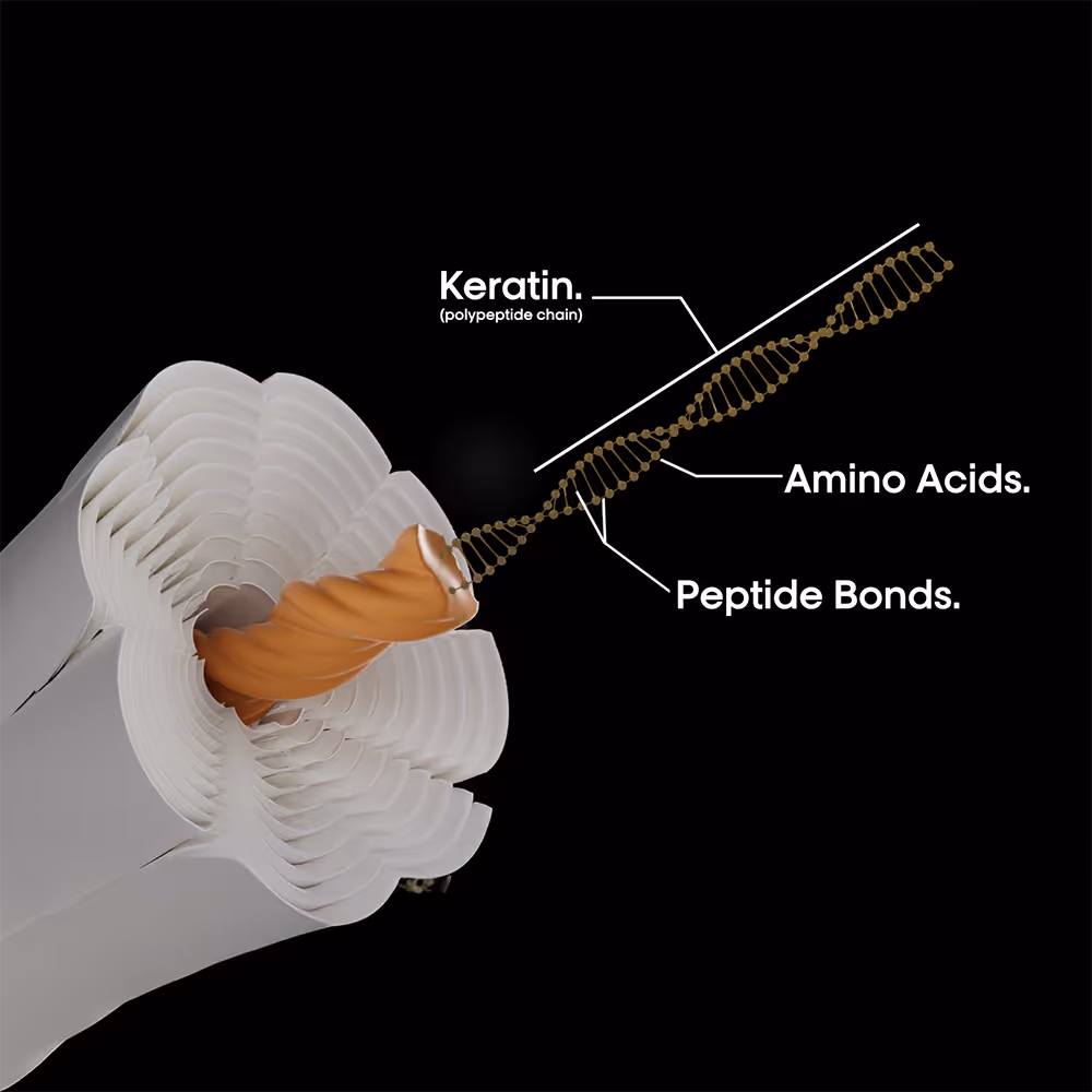 Technical Explainers