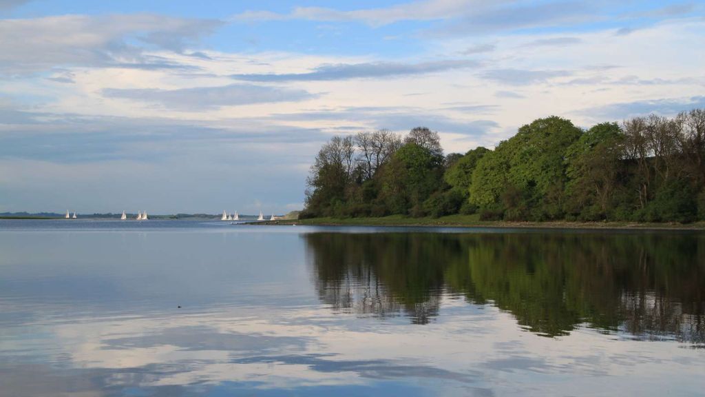 [background image] image of topdown photo of desk with laptop (for a food and agtech)