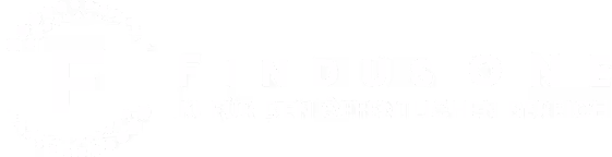 FindusOne Logo in Weiss