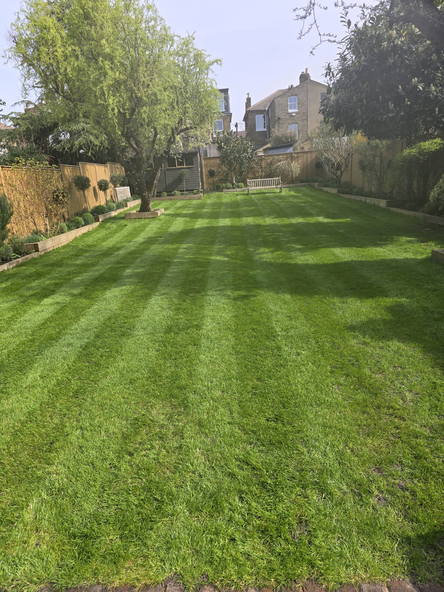 Fresh turf lawn installed in a residential property in Streatham