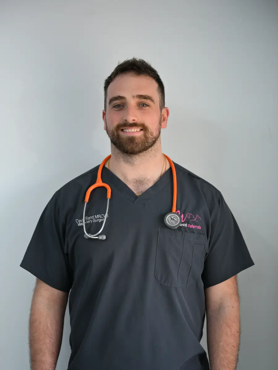team image of team member (medical clinic)