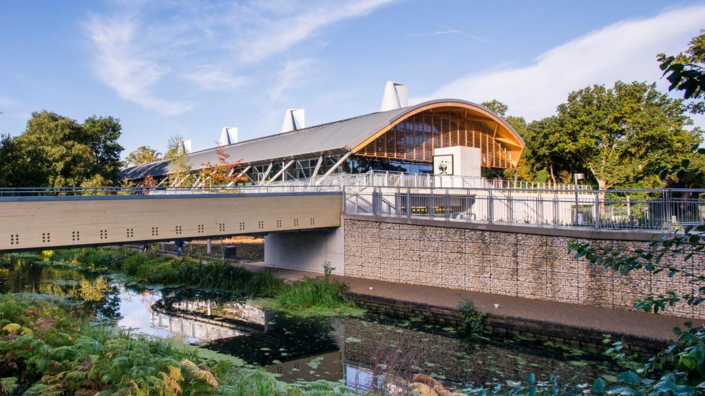 Panel of charity sector speakers sharing marketing insights