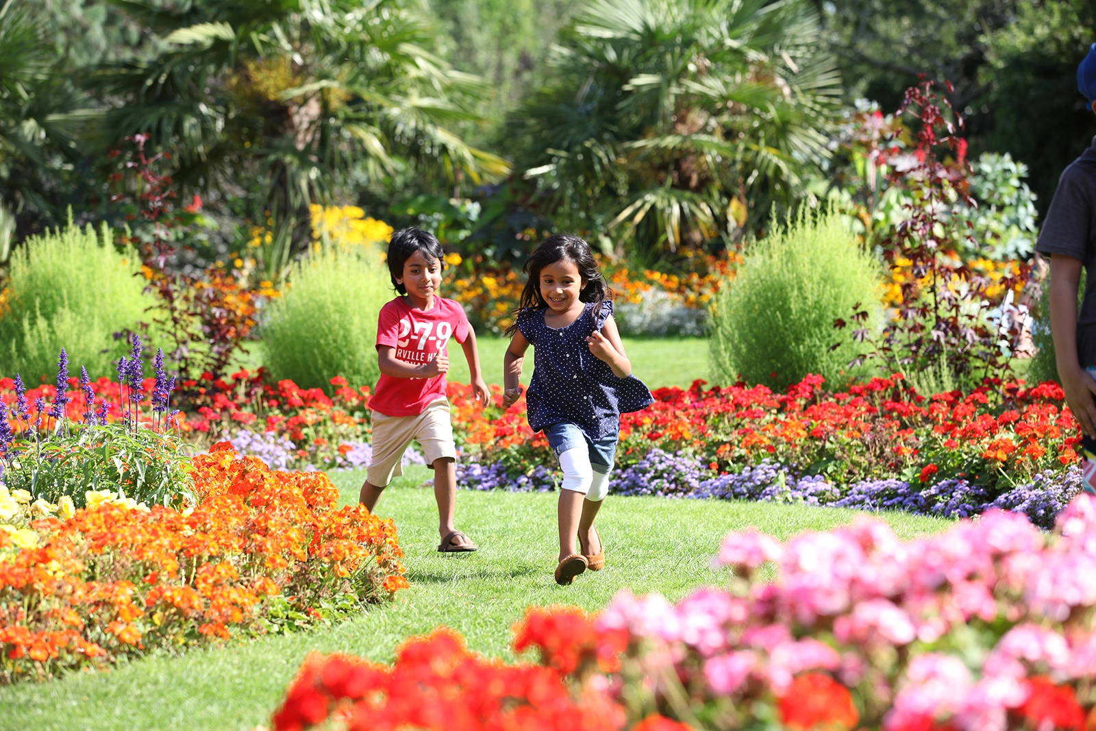 Two children running on a grassy path surrounded by colorful flower beds in a garden.