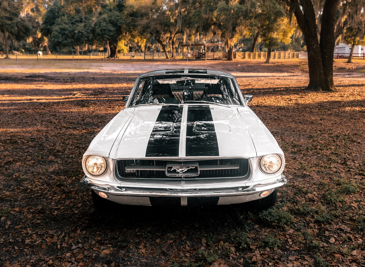 Clickable link to open article vehicle gallery