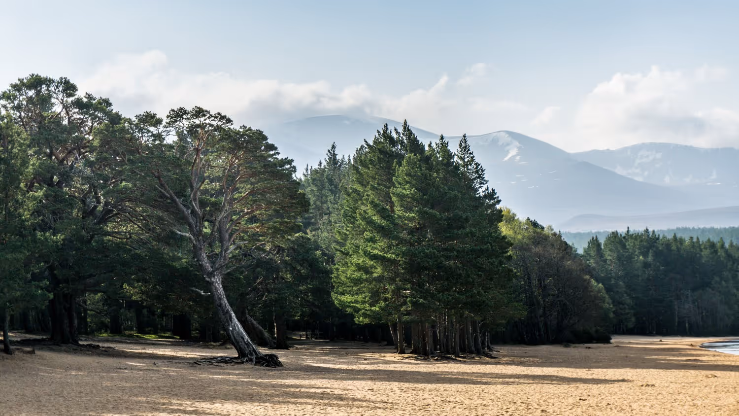NC500 ROAD TRIP