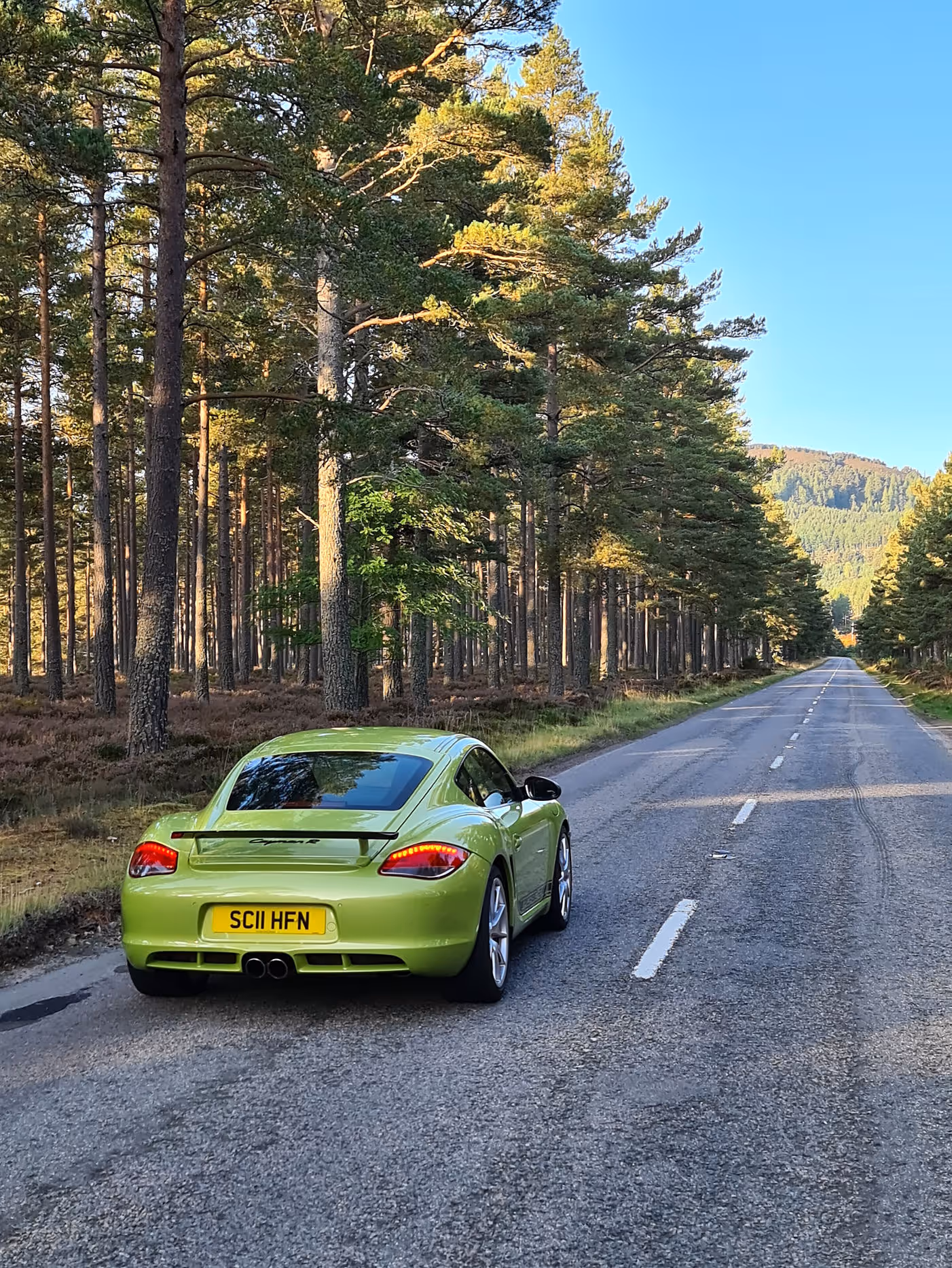Porsche Cayman R