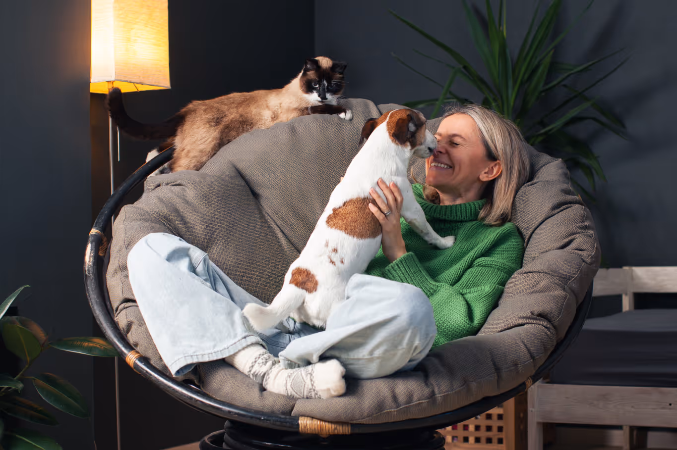 woman with dog stock photo
