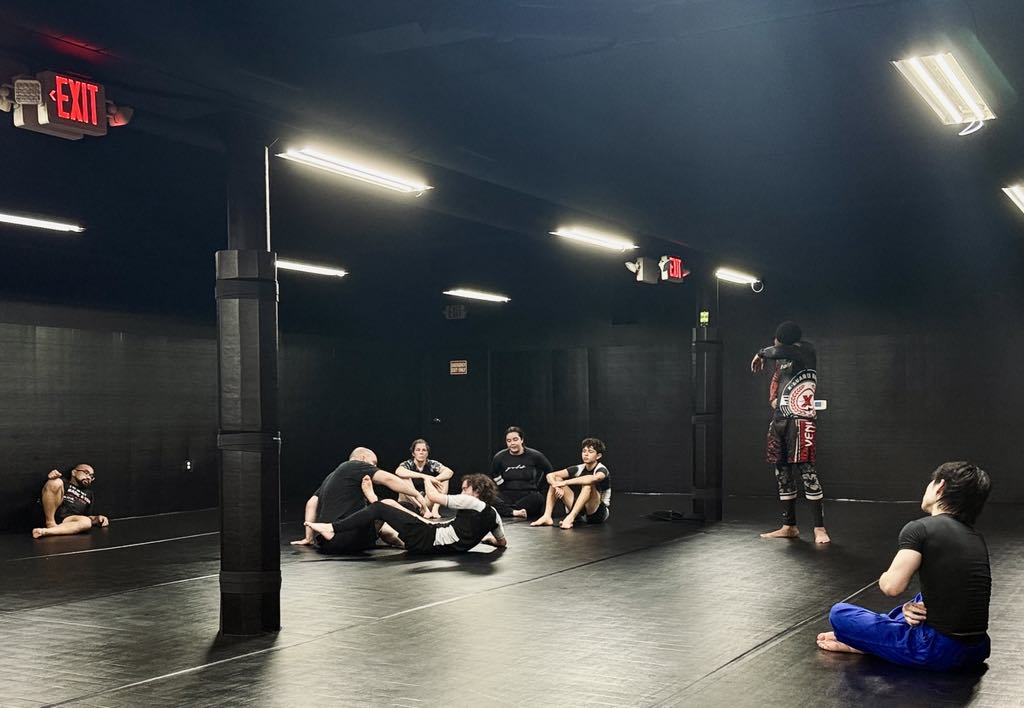 BJJ training at Ann Arbor BJJ