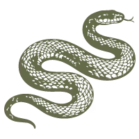 illustration of a snake