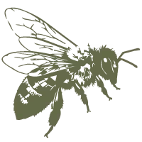 illustration of a bee
