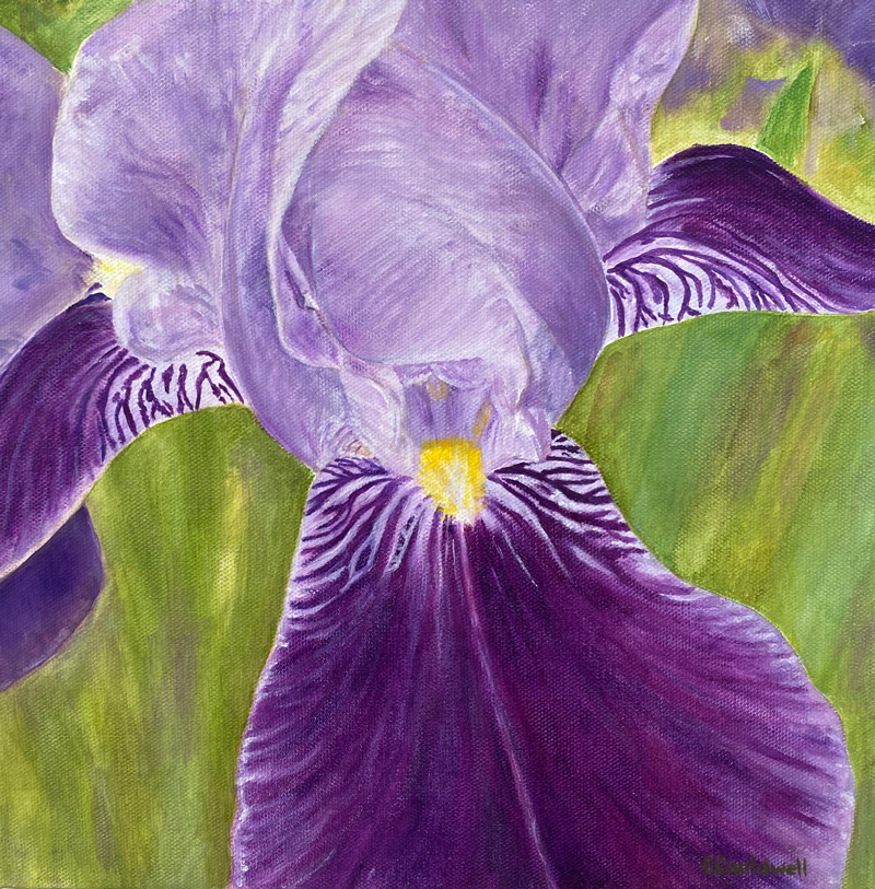 painting of an iris up close