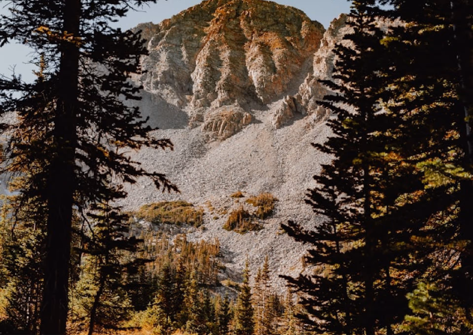 Rocky mountain with pine trees in the foreground under a clear sky.