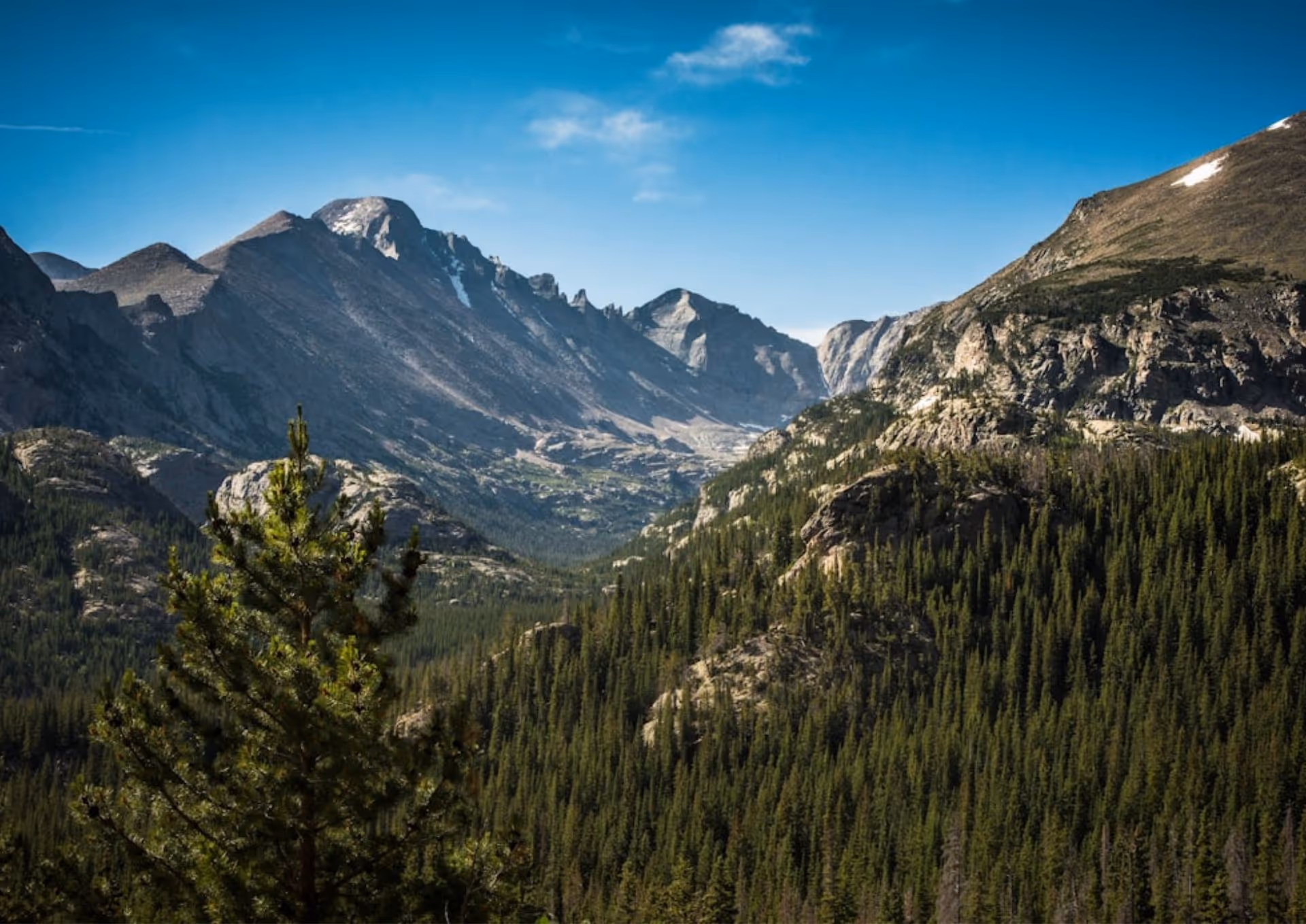 Pine forest beyond rocky hills with a mountain range under a blue sky with sparse clouds.