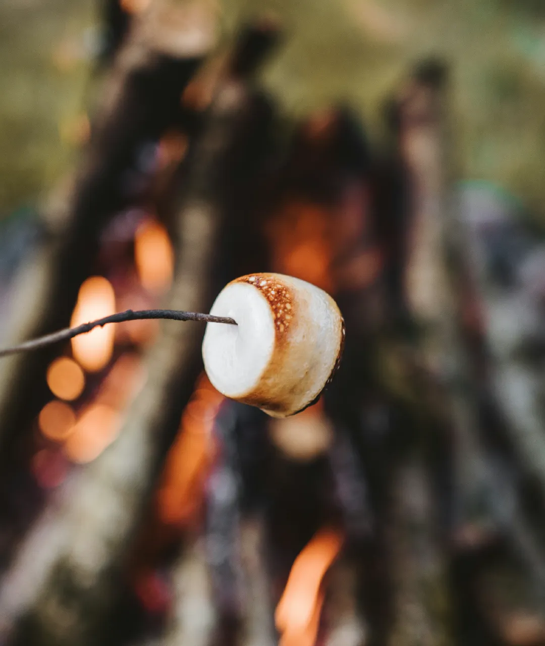 Toasted marshmallow on a stick held over a campfire.