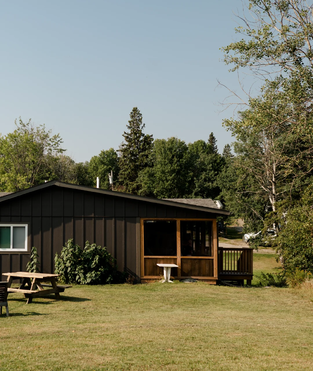 Dark cabin with a screened porch, picnic table and grassy yard surrounded by trees.