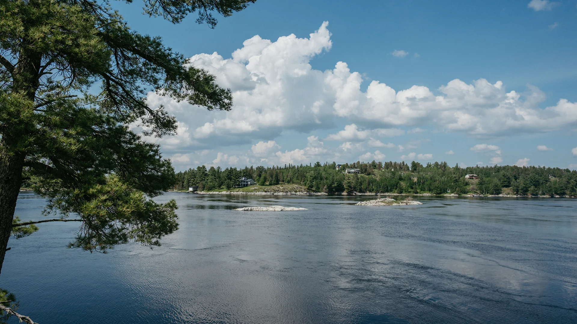Wide view of the Winnipeg River with rocky islands, forested shoreline, large clouds, and a pine tree framing the water.