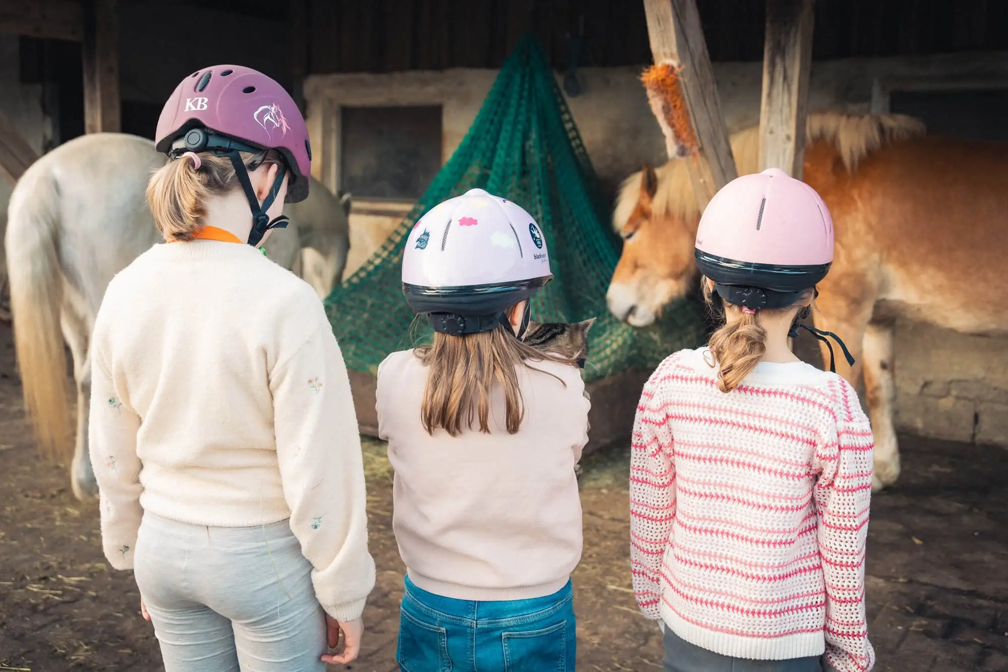 Drei Kinder sind mit dem Rücken zu der Betrachtenden Person genannt. Sie tragen alle drei einen Reithelm.