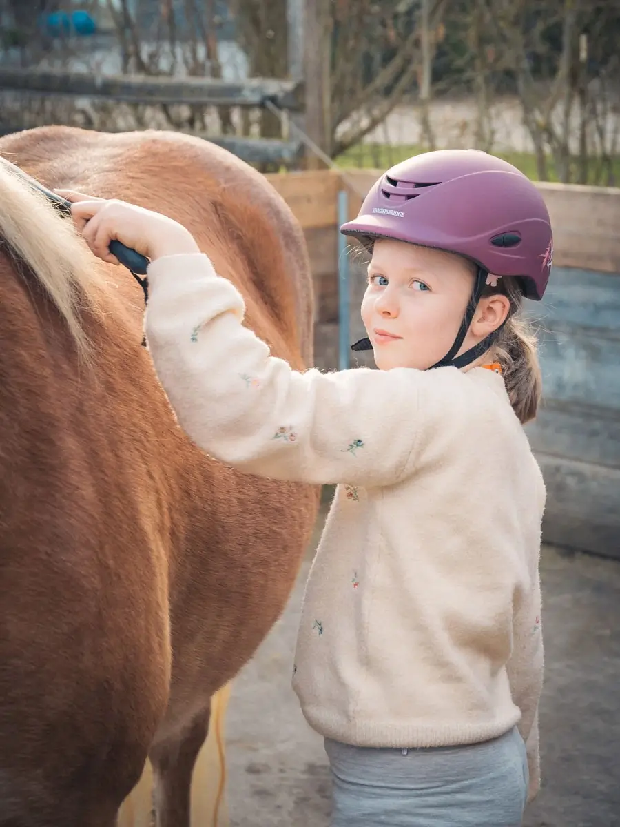 Zwei Kinder putzen zwei Pferde.