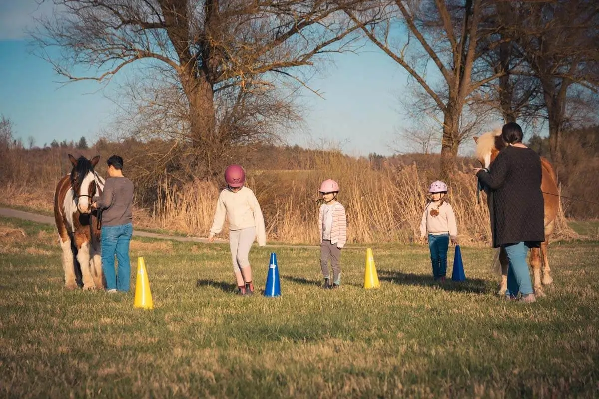 Zwei Pferde und drei Kinder spielen auf der Wiese. Alle gehen rückwärts.