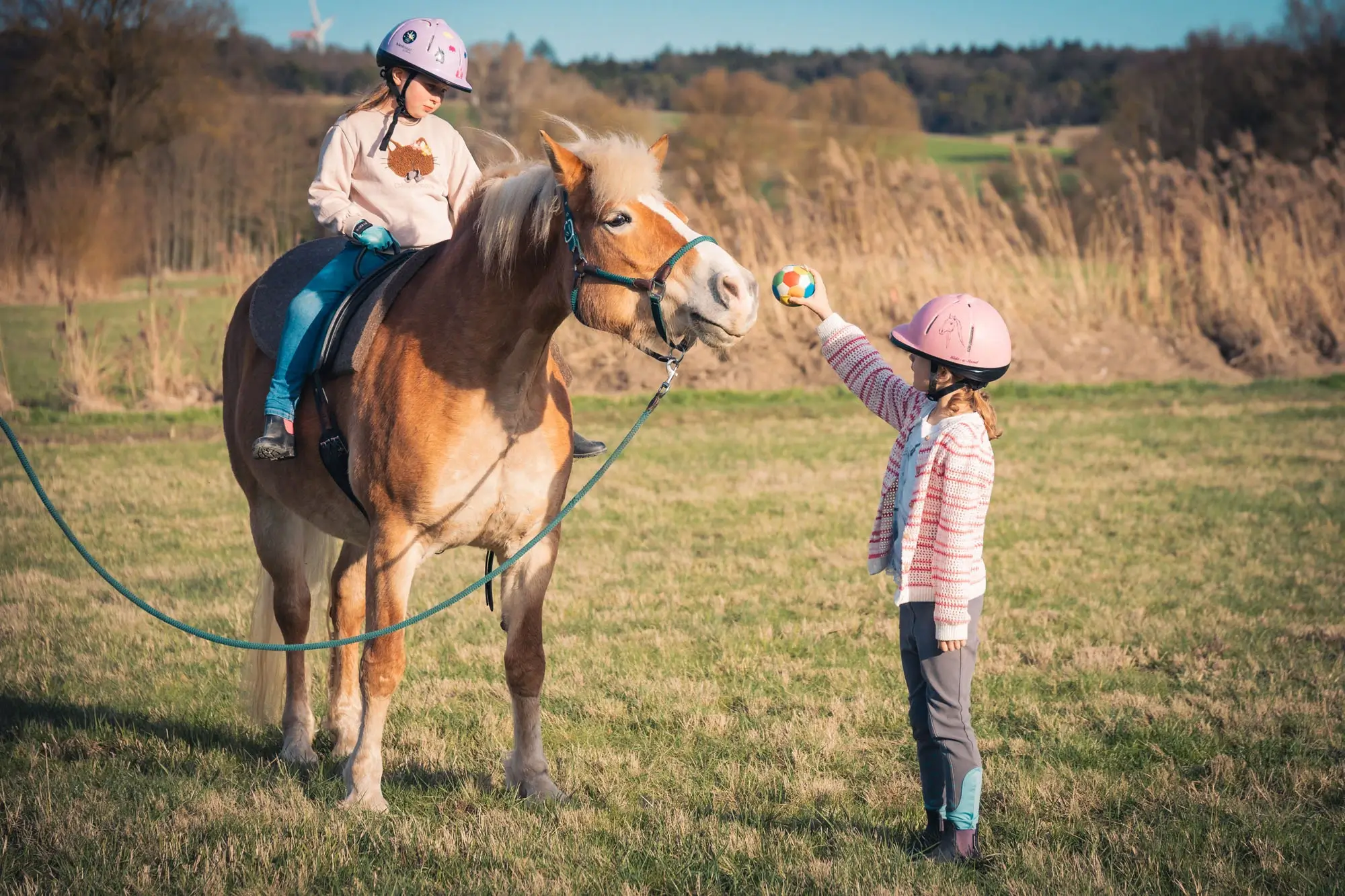 Ein Kind steht vor einem Pferd. Ein Kind sitzt auf dem Pferd. Das stehende Kind zeigt dem Pferd einen Ball. Das Pferd ist interessiert.