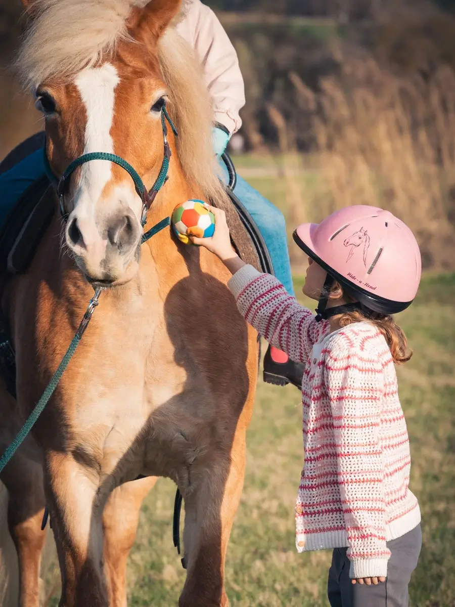 Ein Kind berührt ein Pferd mit einem Ball am Hals.