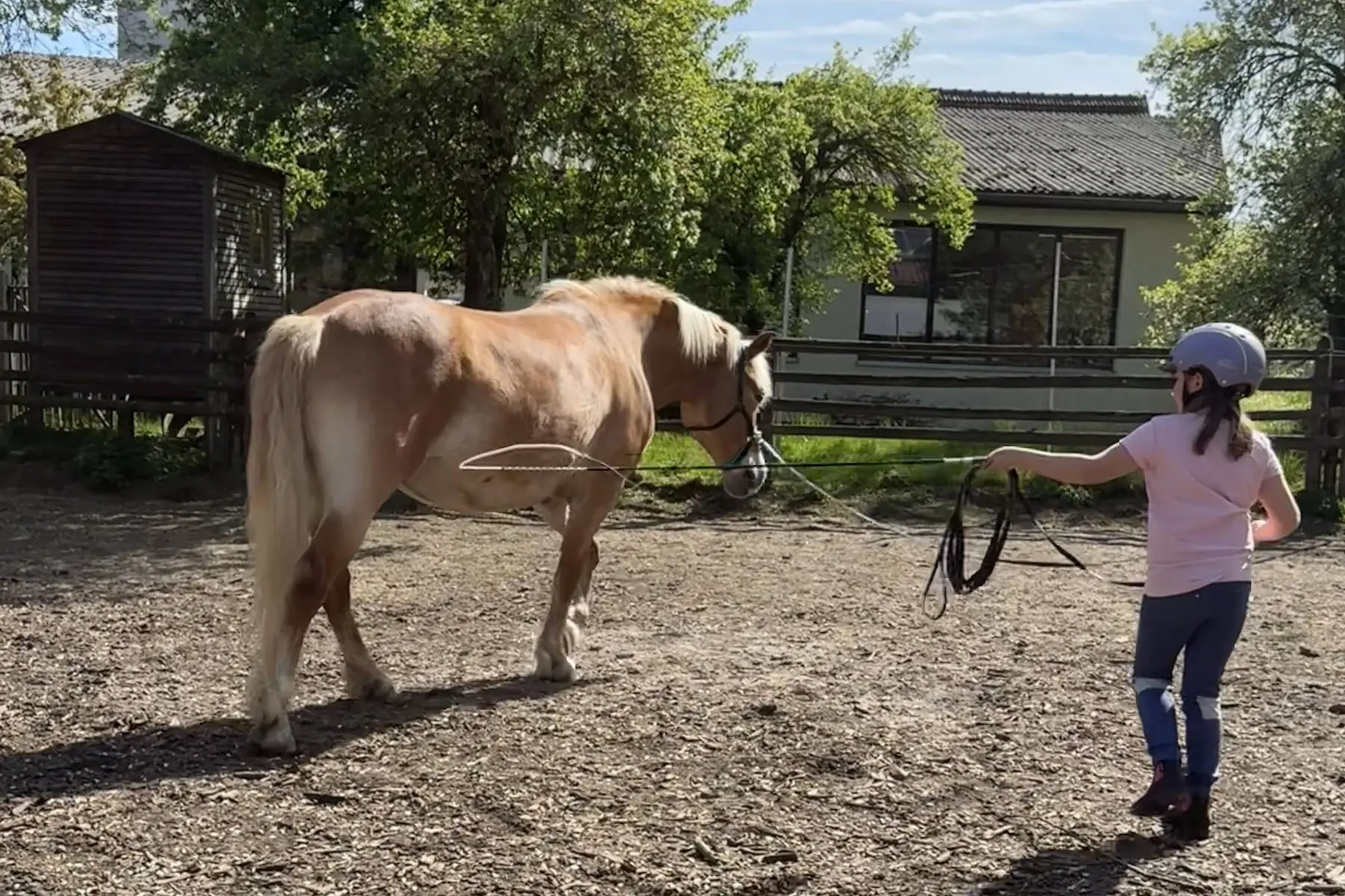 Kind longiert eigenständig ein Pferd.