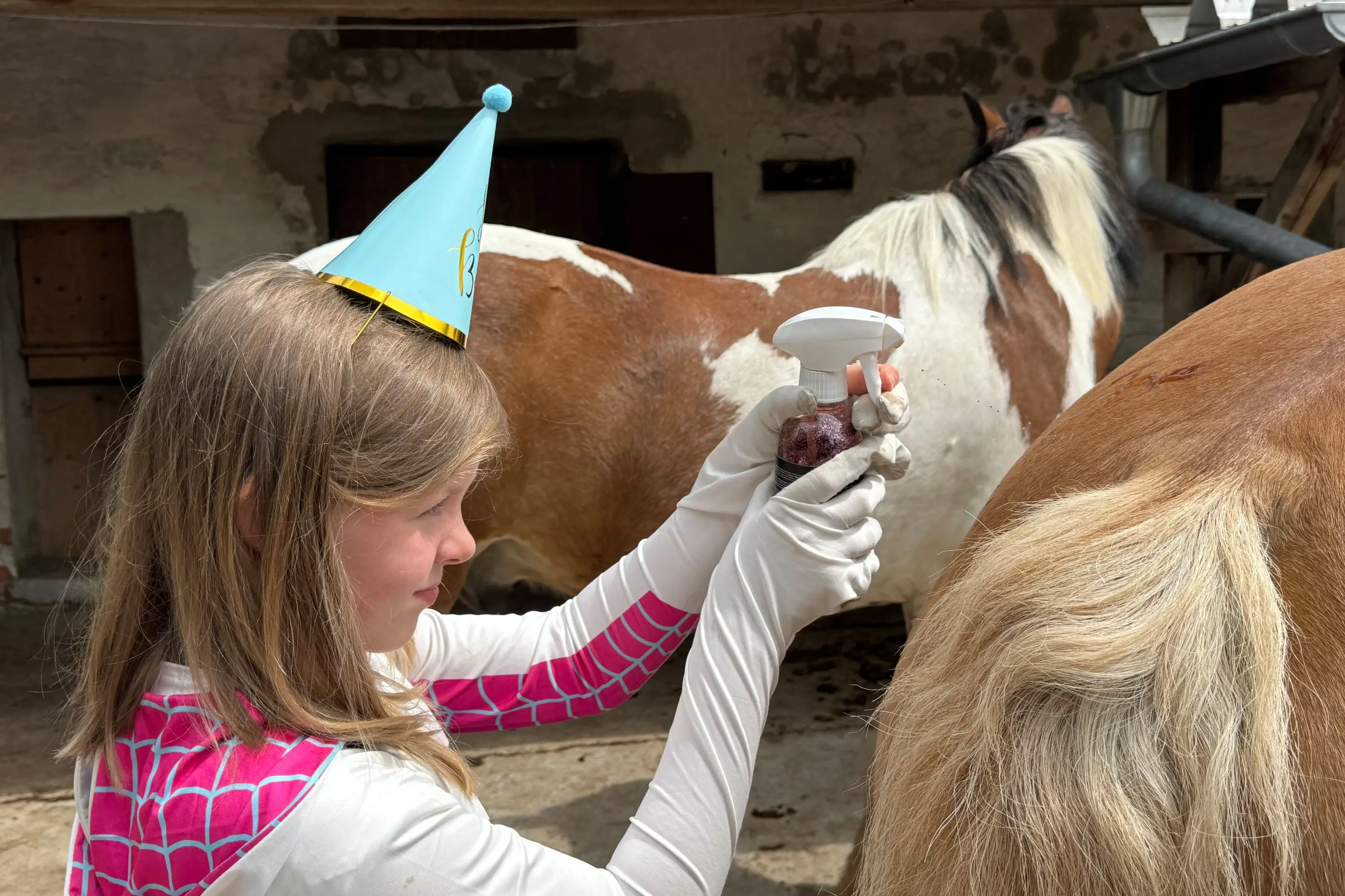 Ein Kind mit Partyhut steht vor einem Pferd und sprüht pinken Glitzer auf den Pferdepopo.